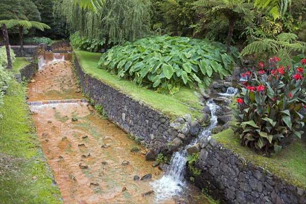 Hot springs