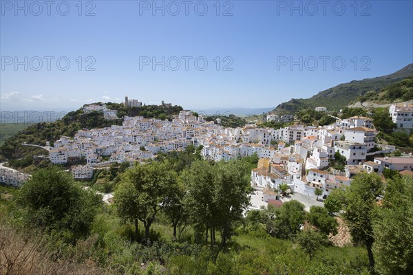 Townscape