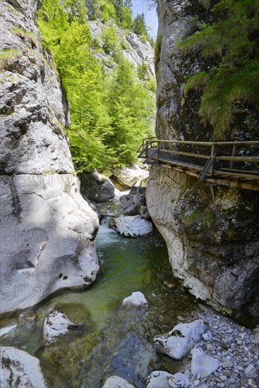 Wooden boardwalk in the Nothklamm gorge