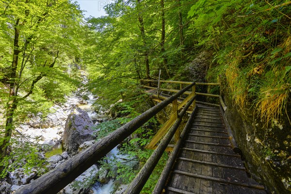 Wooden boardwalk in the Nothklamm gorge
