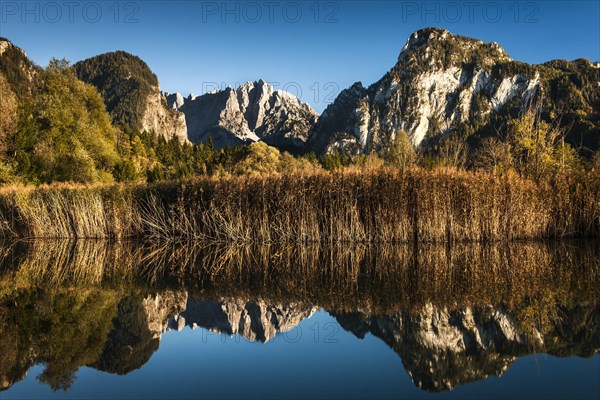 Pond in autumn