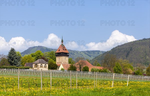 Geilweilerhof Institute for Grape Breeding