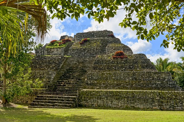 Mayan step pyramid