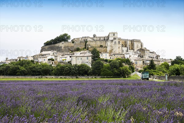 Town view with palace