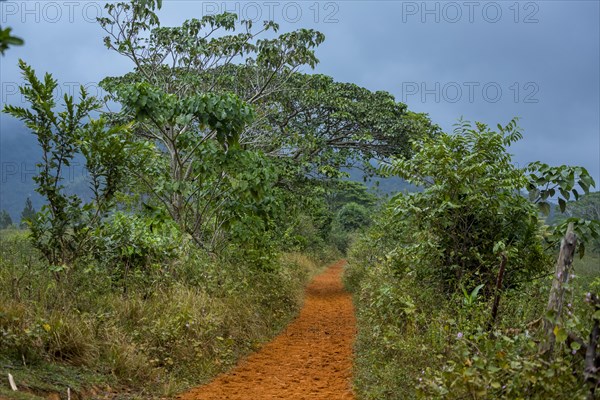 Dirt track with red earth through the Vinales Valley
