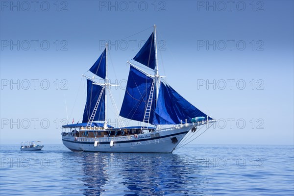 Diving sailing ship PALAU SIREN