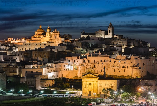 View of the town with the cathedral