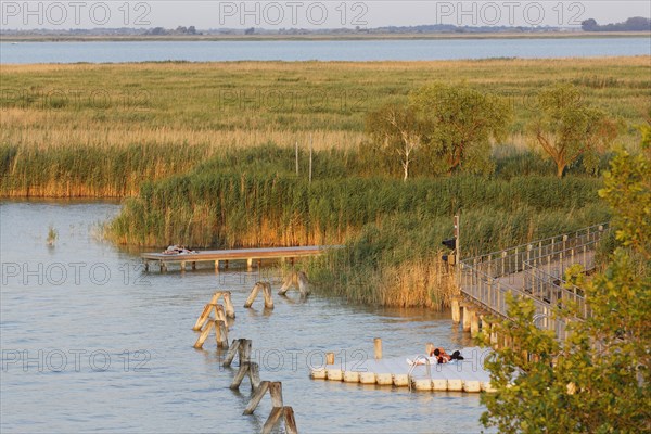 Lake Neusiedl