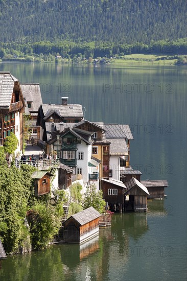 Lake Hallstatt or Hallstatter See lake