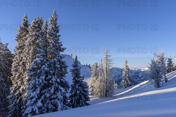 Winter landscape at Kasberg