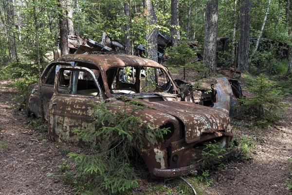Auto graveyard in the forest