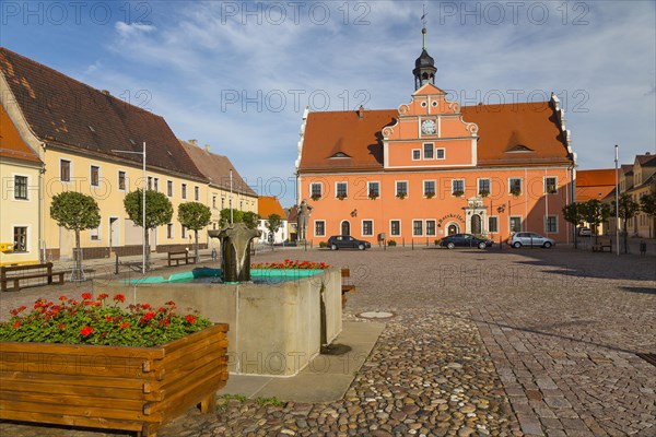 Fountain in the market square with the Town Hall