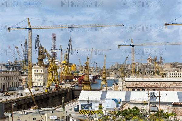 Views of the harbour
