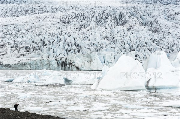 Floe
