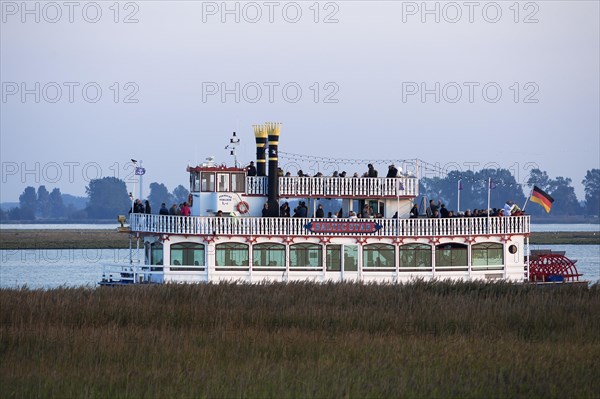 Tourist paddle steamer in the Bodden