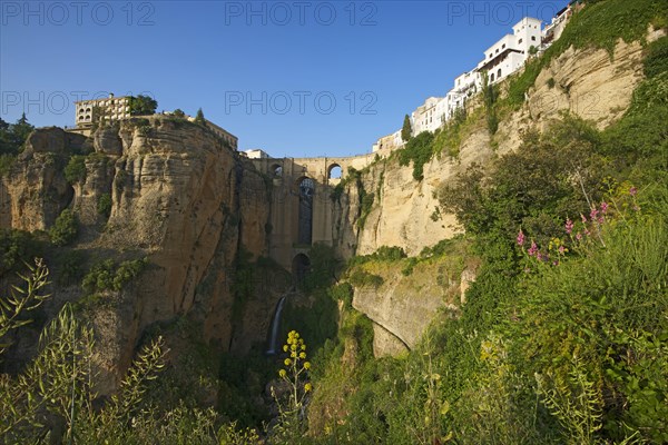 Puente Nuevo bridge