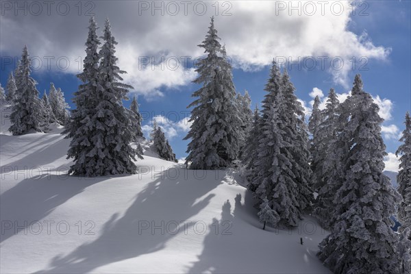 Winter landscape at Kasberg