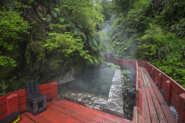 Hot pool of Termas Geometricas
