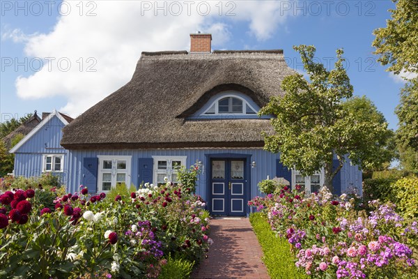 Thatched wooden house