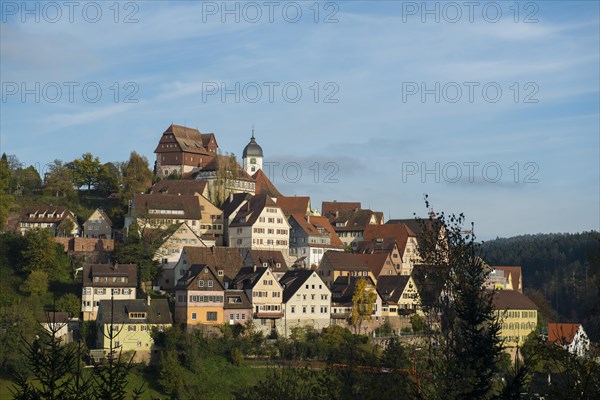 View of Altensteig