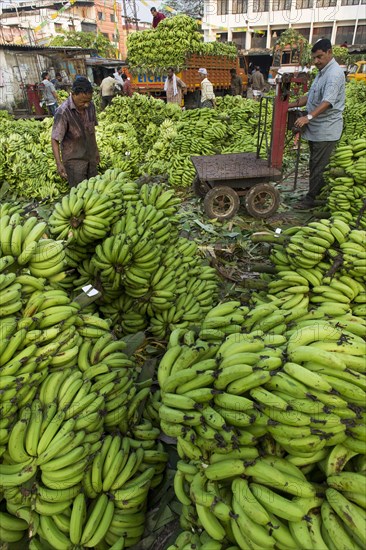 Banana sellers and workers on the Broadway Market