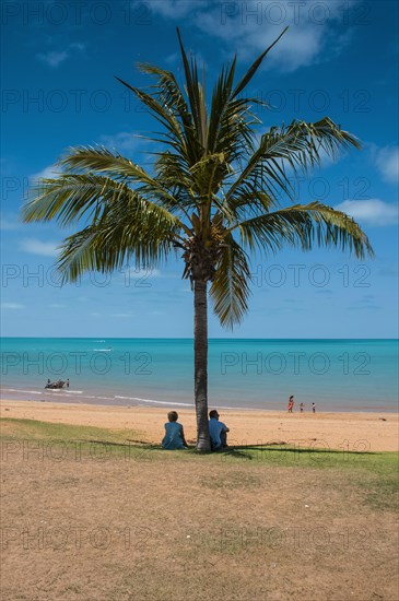 Tourists underneath a palm