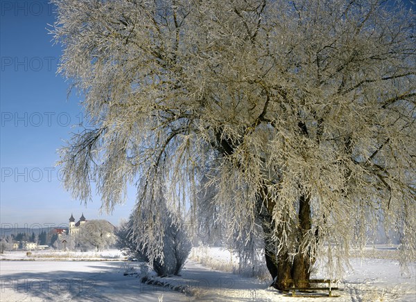 Hoarfrost at Schlehdorf Abbey