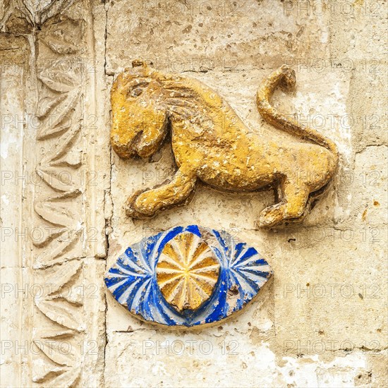 Lion decorating a wall