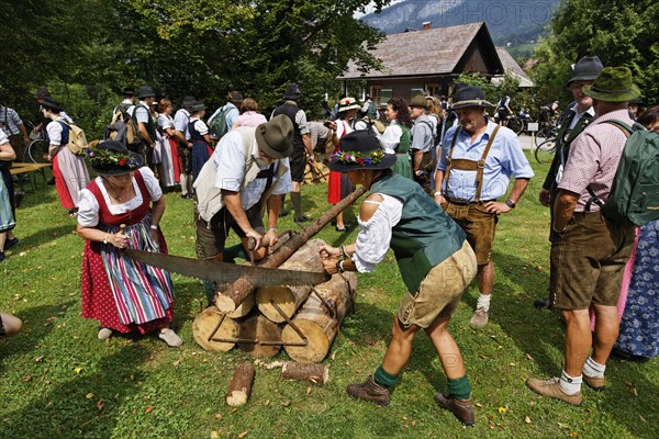 Gamstrophy competition