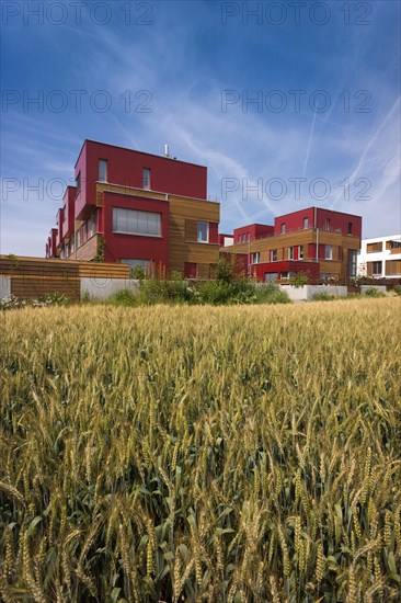 Modern architecture in Frankfurt-Riedberg