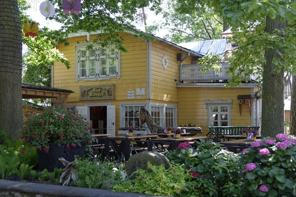 Yellow wooden house