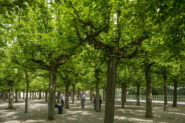 Baroque lime boscage with bocce players