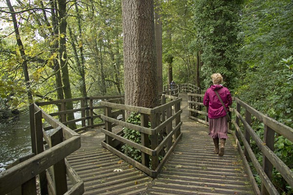 Woman walking along a boardwalk