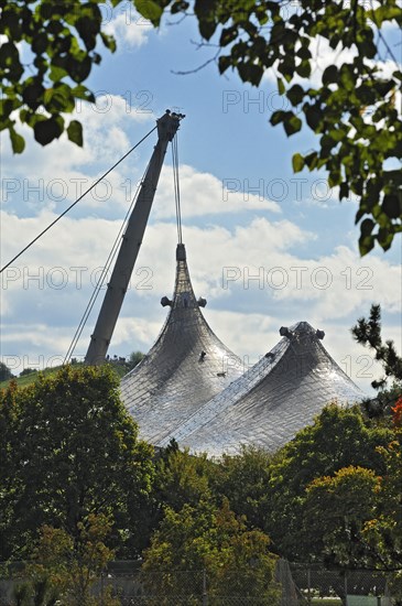Canopy-structure in the Olympic Park