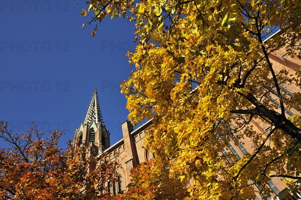 Mariahilf Church with a Maple (Acer) with autumn leaves