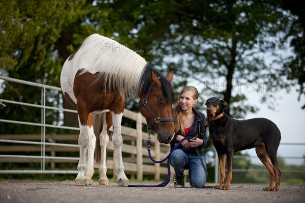 Girl with a horse and a Doberman