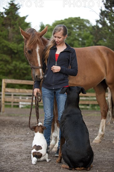 Girl with a horse and dogs