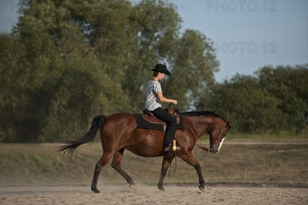 Woman riding a trotting Quarter Horse