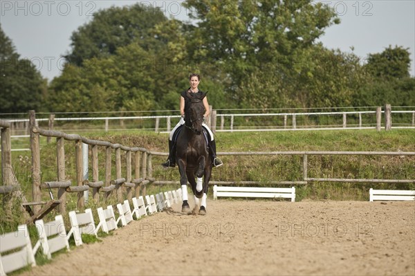 Woman riding a galloping Holsteiner horse