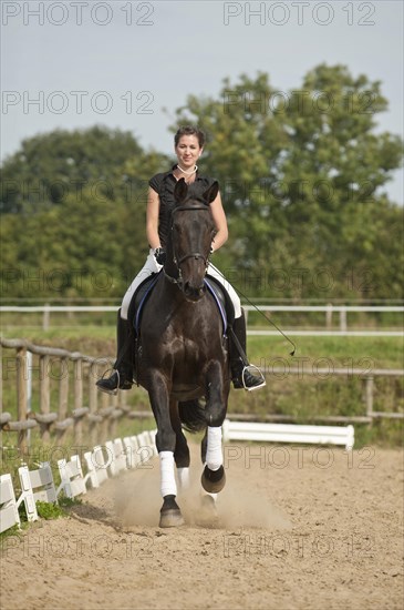 Woman riding a galloping Holsteiner horse