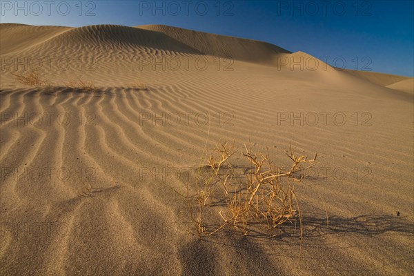 Desert landscape in the Danakil Depression