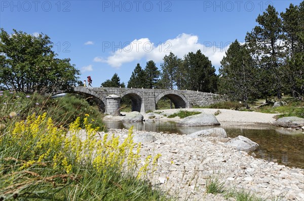Pont du Tarn