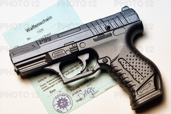 Firearm and firearm license