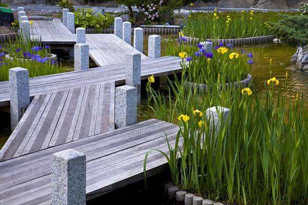 Japanese gardens in Larvotto
