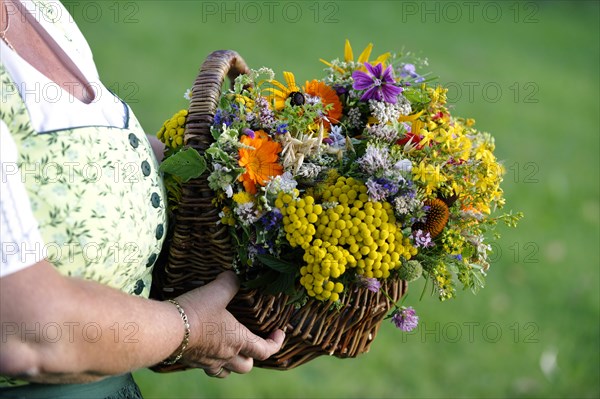 A basket with herbs