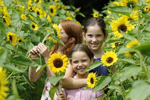 Girls in a sunflower field