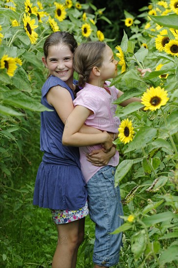 Girls in a sunflower field