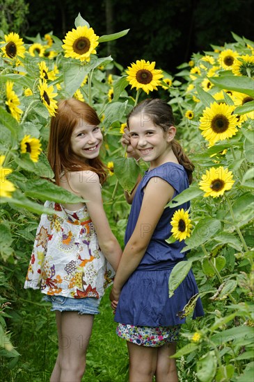 Girls in a sunflower field