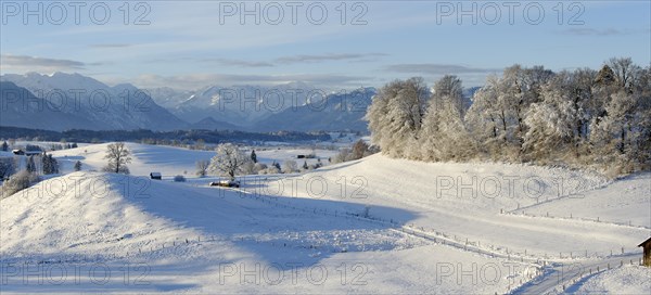 Winter landscape