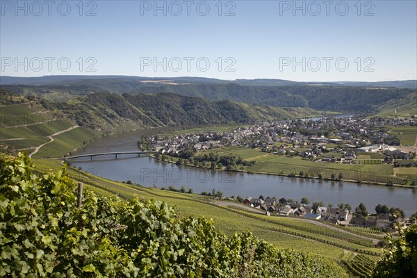 Moselle Valley near Piesport